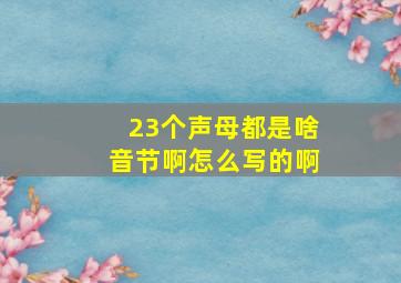 23个声母都是啥音节啊怎么写的啊