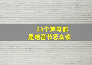 23个声母都是啥音节怎么读