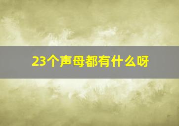 23个声母都有什么呀