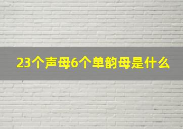 23个声母6个单韵母是什么