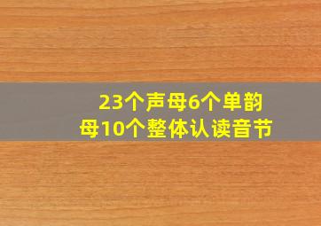 23个声母6个单韵母10个整体认读音节