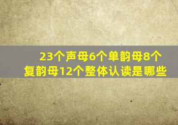 23个声母6个单韵母8个复韵母12个整体认读是哪些