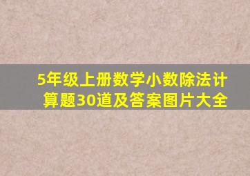 5年级上册数学小数除法计算题30道及答案图片大全