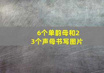 6个单韵母和23个声母书写图片