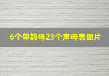 6个单韵母23个声母表图片