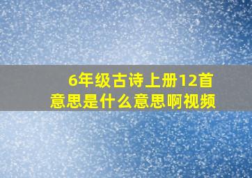 6年级古诗上册12首意思是什么意思啊视频