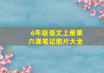 6年级语文上册第六课笔记图片大全