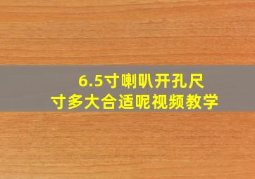 6.5寸喇叭开孔尺寸多大合适呢视频教学