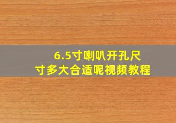 6.5寸喇叭开孔尺寸多大合适呢视频教程