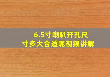 6.5寸喇叭开孔尺寸多大合适呢视频讲解