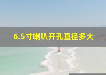 6.5寸喇叭开孔直径多大