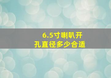 6.5寸喇叭开孔直径多少合适