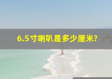 6.5寸喇叭是多少厘米?