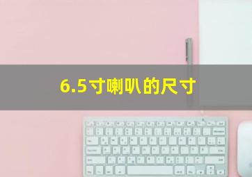 6.5寸喇叭的尺寸