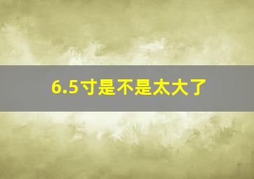 6.5寸是不是太大了