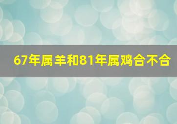 67年属羊和81年属鸡合不合