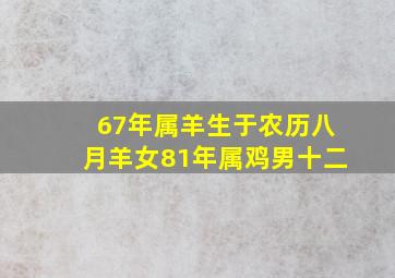 67年属羊生于农历八月羊女81年属鸡男十二