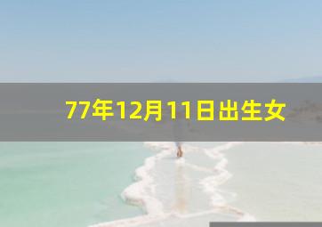 77年12月11日出生女