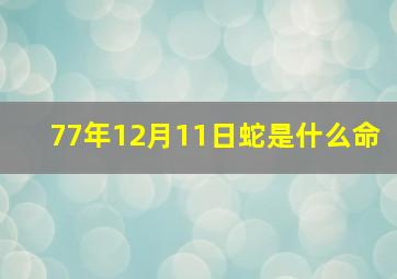 77年12月11日蛇是什么命