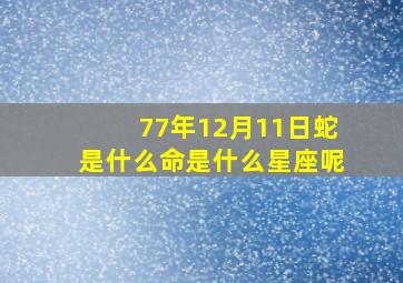 77年12月11日蛇是什么命是什么星座呢