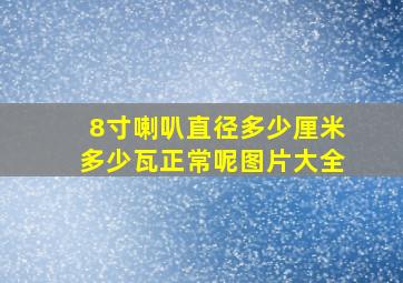 8寸喇叭直径多少厘米多少瓦正常呢图片大全