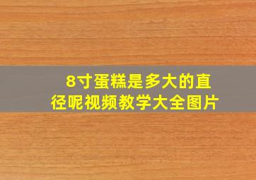 8寸蛋糕是多大的直径呢视频教学大全图片