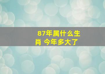 87年属什么生肖 今年多大了