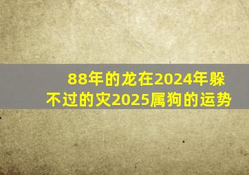 88年的龙在2024年躲不过的灾2025属狗的运势