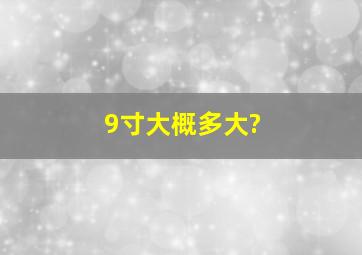 9寸大概多大?