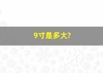 9寸是多大?