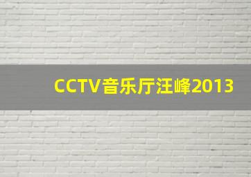 CCTV音乐厅汪峰2013