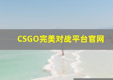 CSGO完美对战平台官网