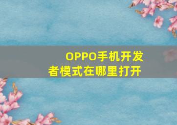 OPPO手机开发者模式在哪里打开