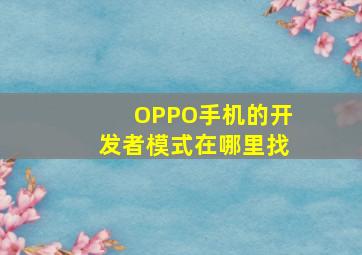 OPPO手机的开发者模式在哪里找