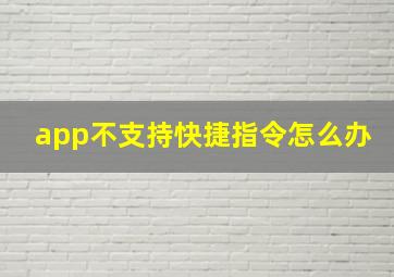 app不支持快捷指令怎么办