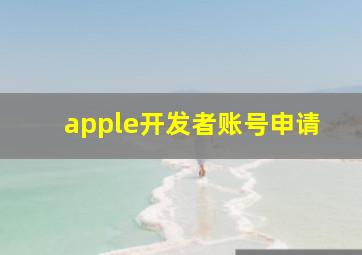 apple开发者账号申请