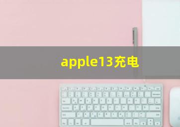 apple13充电