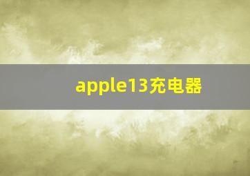 apple13充电器