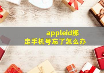 appleid绑定手机号忘了怎么办