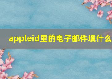 appleid里的电子邮件填什么