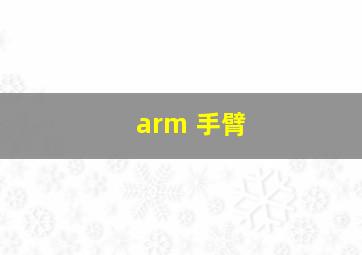 arm 手臂