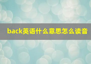 back英语什么意思怎么读音