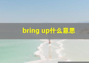 bring up什么意思