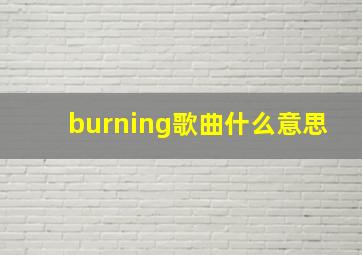 burning歌曲什么意思