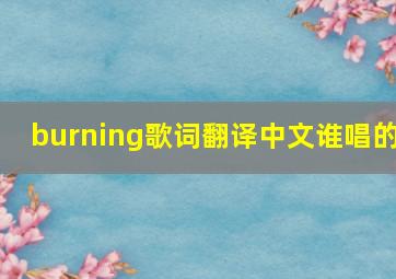 burning歌词翻译中文谁唱的