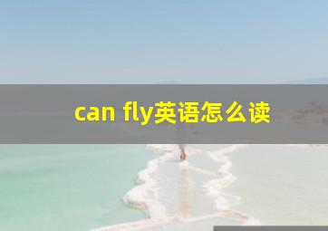 can fly英语怎么读