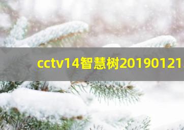 cctv14智慧树201901213