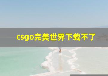 csgo完美世界下载不了