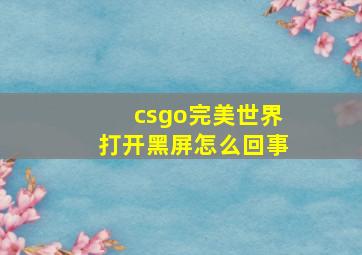 csgo完美世界打开黑屏怎么回事