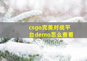 csgo完美对战平台demo怎么查看